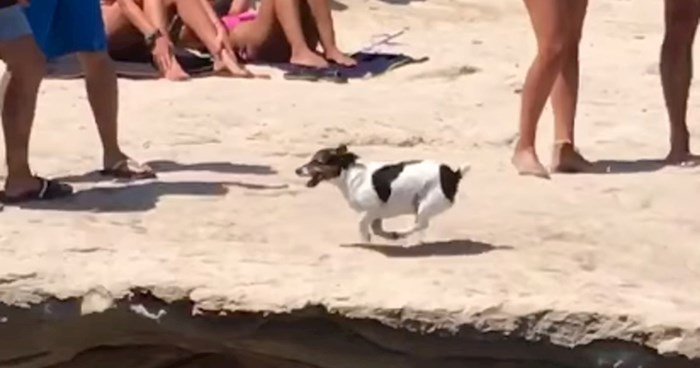 Netko je na plaži snimio genijalan video psića koji obožava skakati u more, video će vas oduševiti