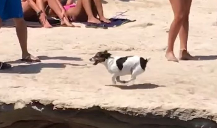 Netko je na plaži snimio genijalan video psića koji obožava skakati u more, video će vas oduševiti