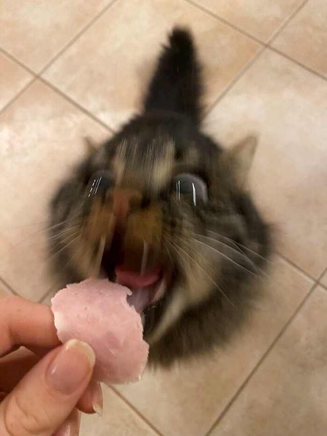 18.