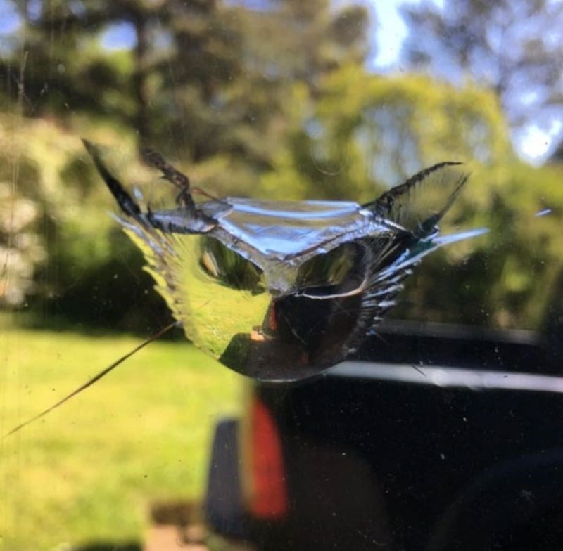 8. "Staklo je napuklo i sad izgleda kao glava mačke."