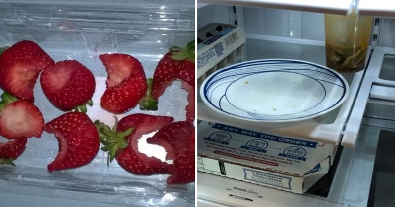 15 bizarnih situacija koje su ljude u potpunosti izbacile iz takta, a vjerojatno će i vas