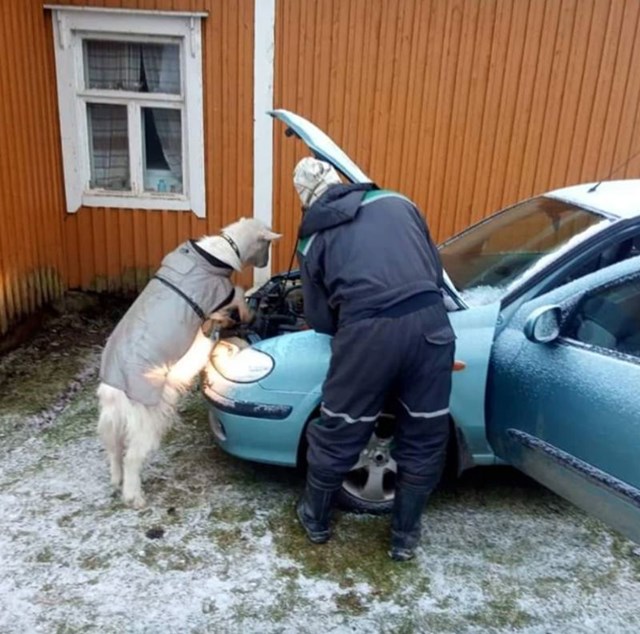 1. "Tata popravlja moj auto sa svojim najdražim pomagačem."