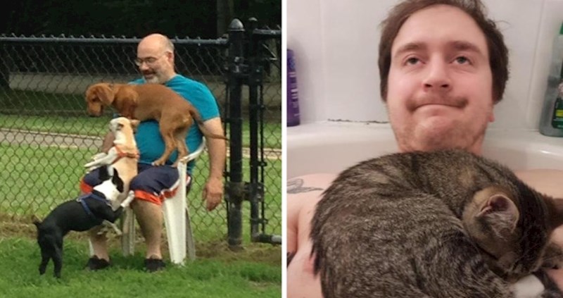 10+ fotografija životinja koje svoje vlasnike odbijaju pustiti na miru, prizori su urnebesni