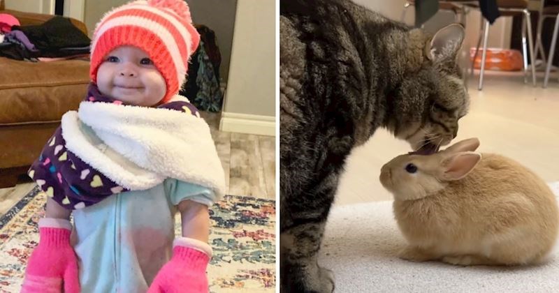 10+ presimpatičnih fotografija djece i životinja koje će vam izmamiti osmijeh na lice