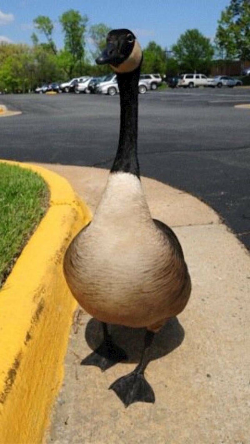 17. "Ovo je fotkano u savršenom trenutku!"