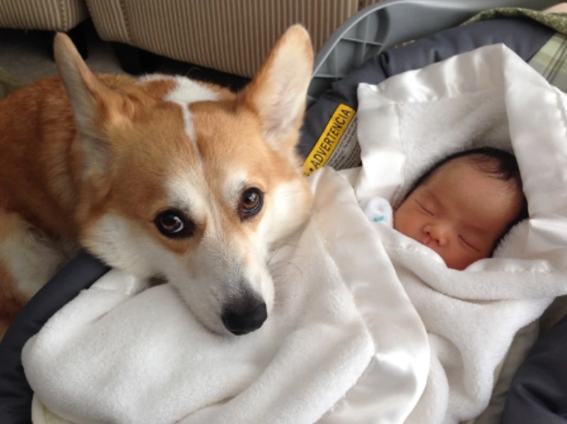 "Kao da nam želi poručiti da je ovo sad njegova beba."