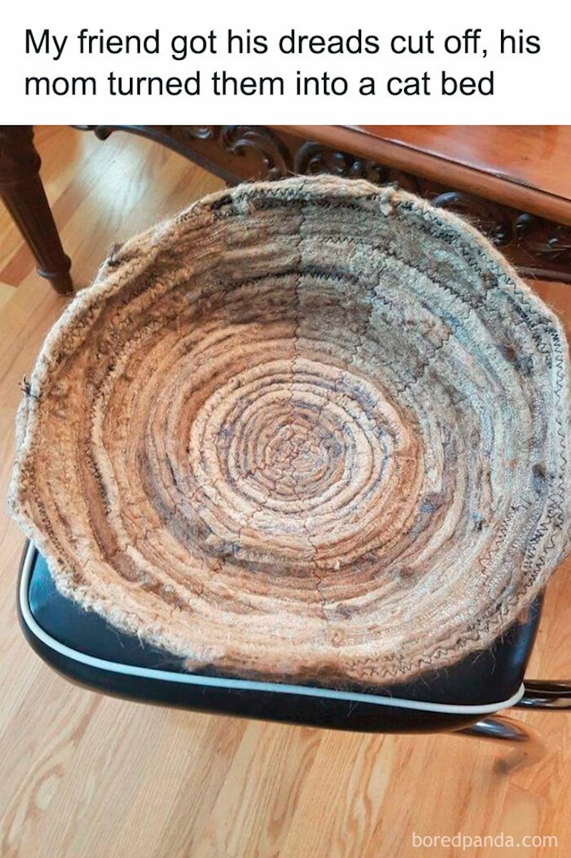 4. "Moj prijatelj je odrezao dredove pa ih je njegova mama pretvorila u ležaj za mačku"