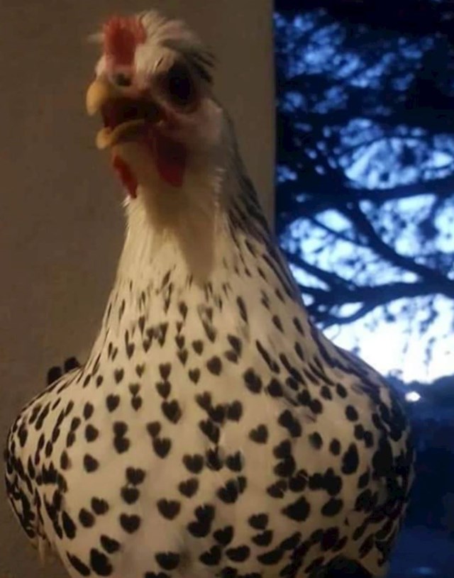 10.