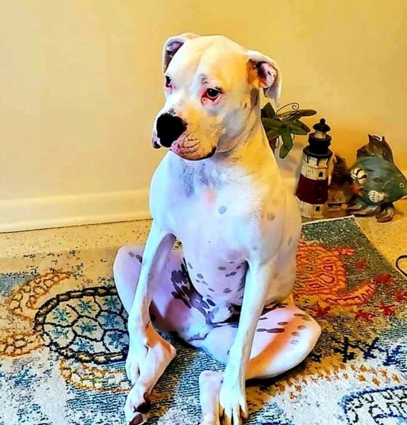 5. "Možda pokušava meditirati"