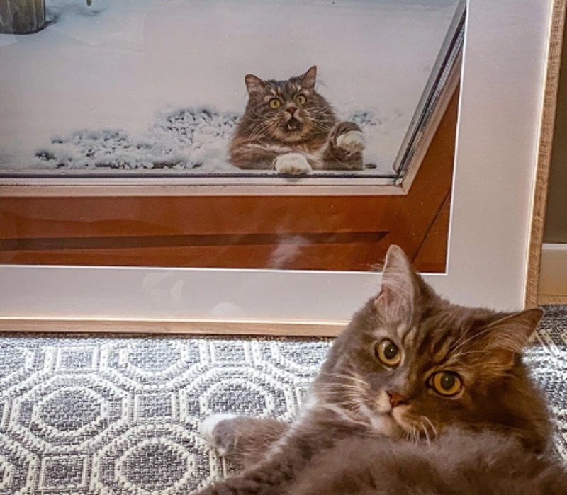 8. "Uokvirili smo njegovu sliku i pokazali mu. Mislim da mu se nije svidjela."