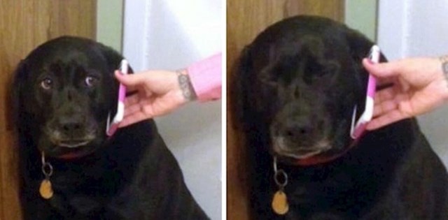 Onaj osjećaj kad vam je mama davala telefon da se baki zahvalite za onih 100 kuna...