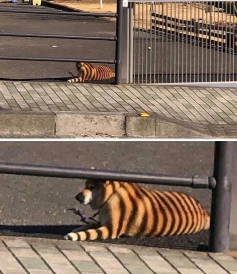 7. "Na sekundu sam se prestravila."