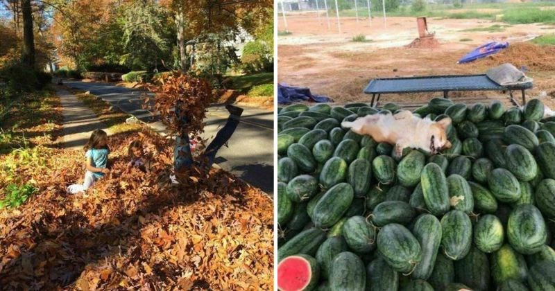 10+ puta kada su ljudi uhvatili trenutke koji u potpunosti zrače pozitivom
