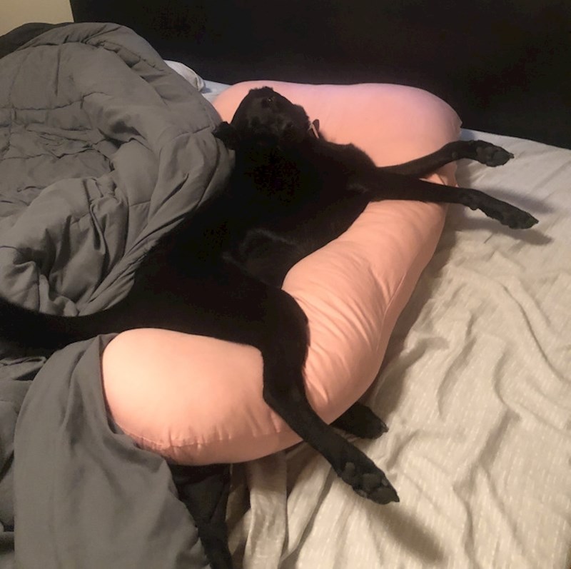 "Nekome se sviđa moj trudnički jastuk..."