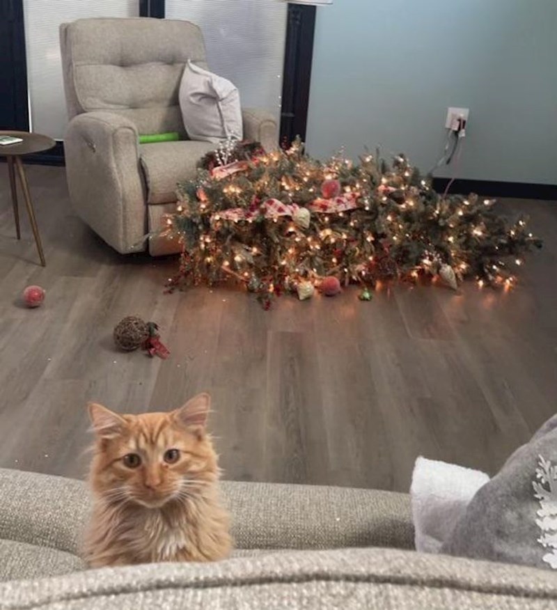 9. "A mislim, nismo se mogli ljutiti na nju dok nas je tako gledala"