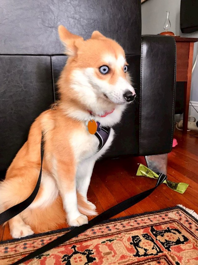 1.