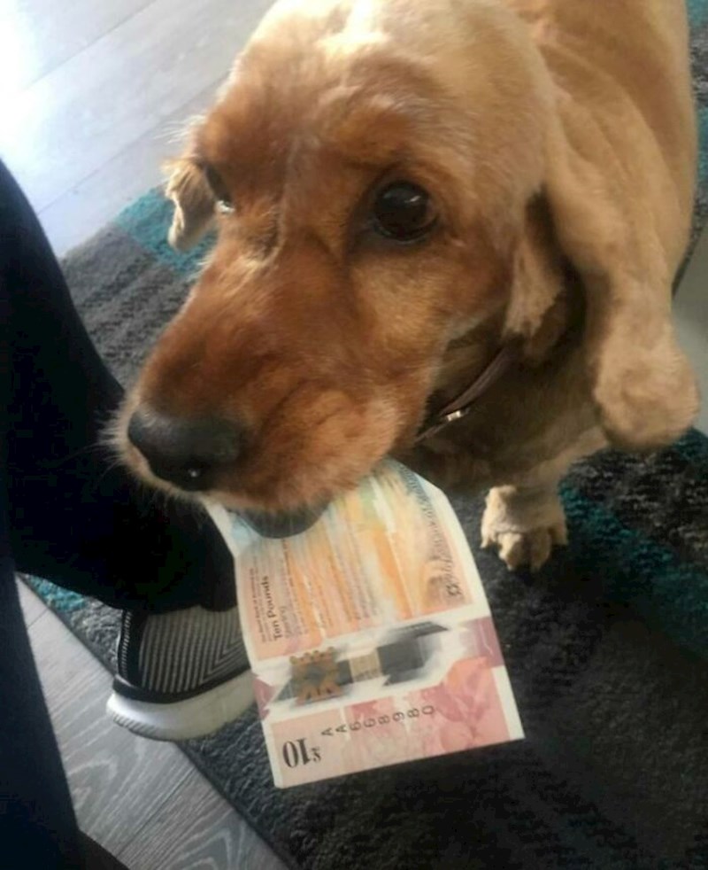 "Ovo je najbolji dar koji mi je dosad donio"