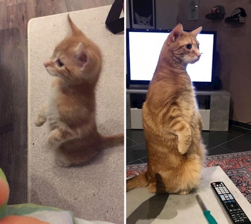 "Dvije godine kasnije, poza je i dalje pristutna."