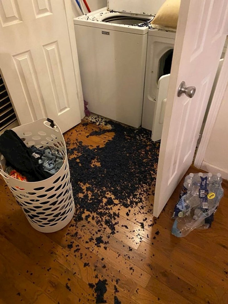 11. Ni njima nije baš jasno što se točno dogodilo