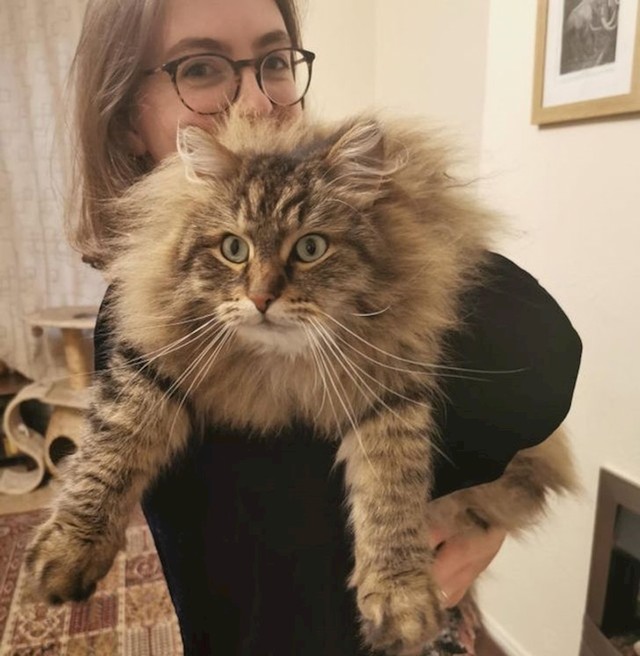 19.