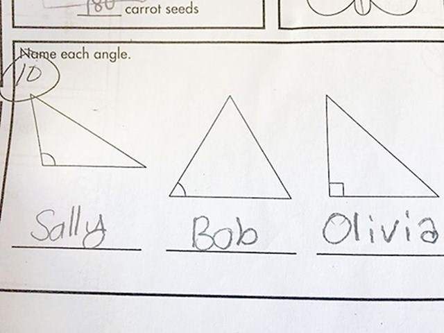 "Naše dijete je moralo napisati kako se zovu ove vrste trokuta. Dala im je imena."