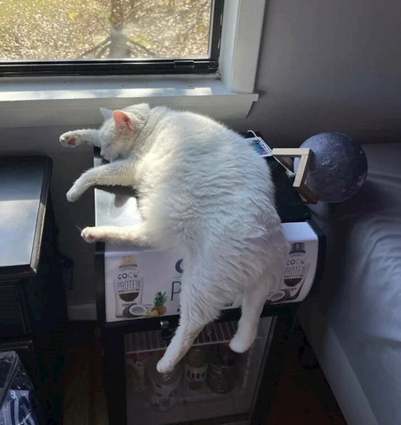 12. Nekako nam se čini da je ovdje previše nogu