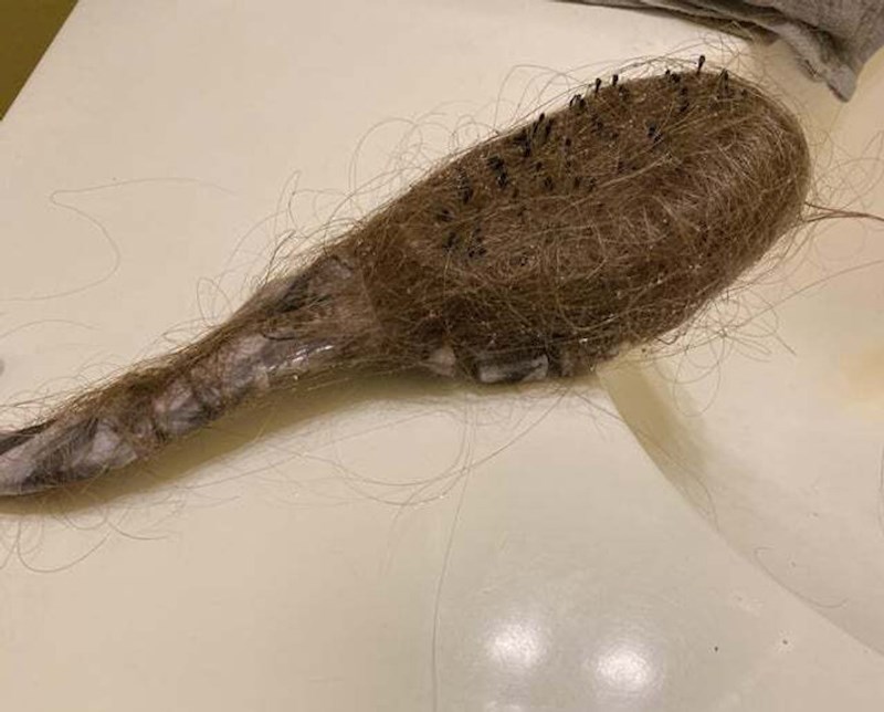 "Ne znam koliko sam joj puta rekla da očisti kosu s četke. Ovo sad već izgleda odvratno!"