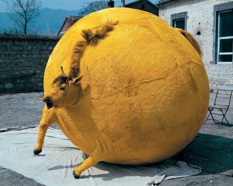 Što bi točno trebalo biti ovo?!