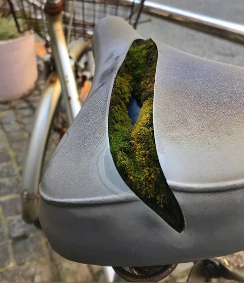 "Unutar sjedala bicikla je počela rasti mahovina. Nikad nisam vidio tako nešto"