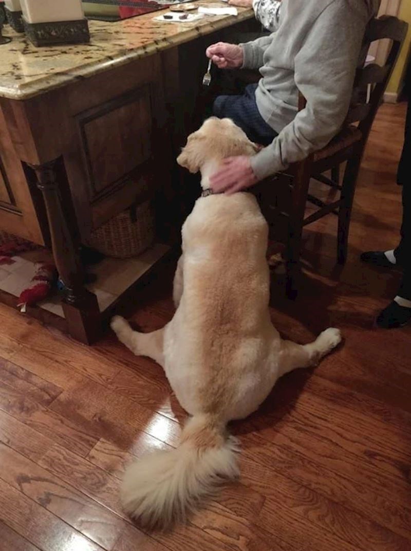 Kakva je ovo poza? 😂