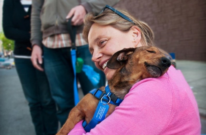 Ne znamo je li više sretniji pas ili žena. Ovo je bilo nakon što ga je udomila.