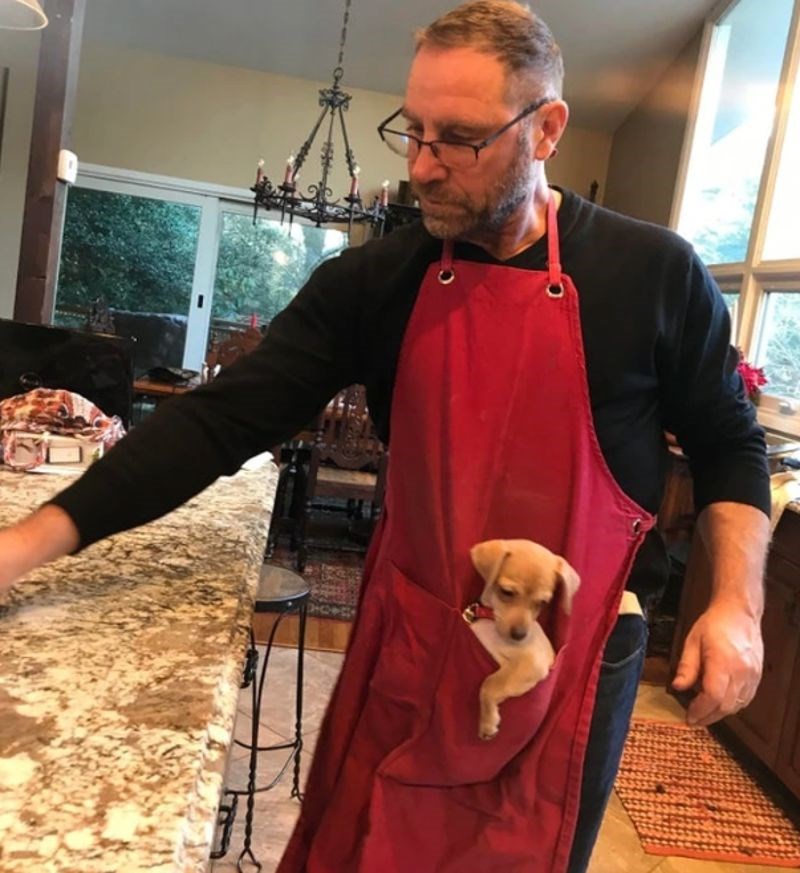 12. "Bojao se da će ga nagaziti koliko je mali pa je nabavio pregaču s dovoljno dubokim džepom u koji stane psić."