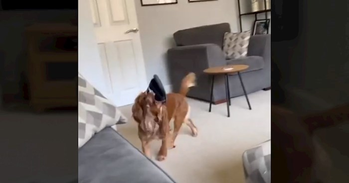 Video psa koji je "ukrao" natikaču postao hit, sve će vam biti jasno kad vidite njegovu reakciju