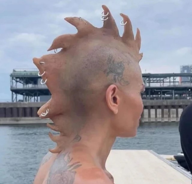 11.