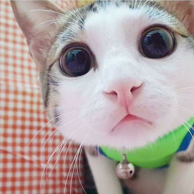 16.