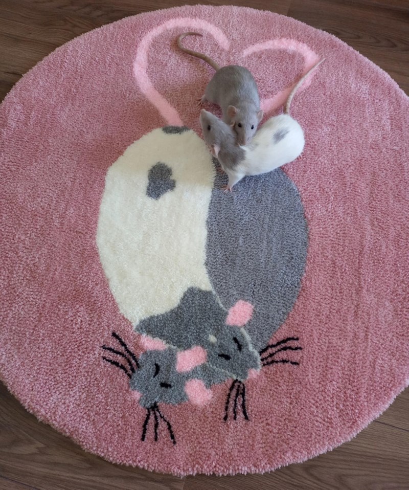 10. Ono kad toliko voliš svoje ljubimce da imaš predmete s njima po cijeloj kući