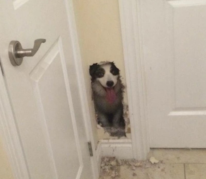 "Nisam očekivao ovaj prizor kad sam putovao s posla."