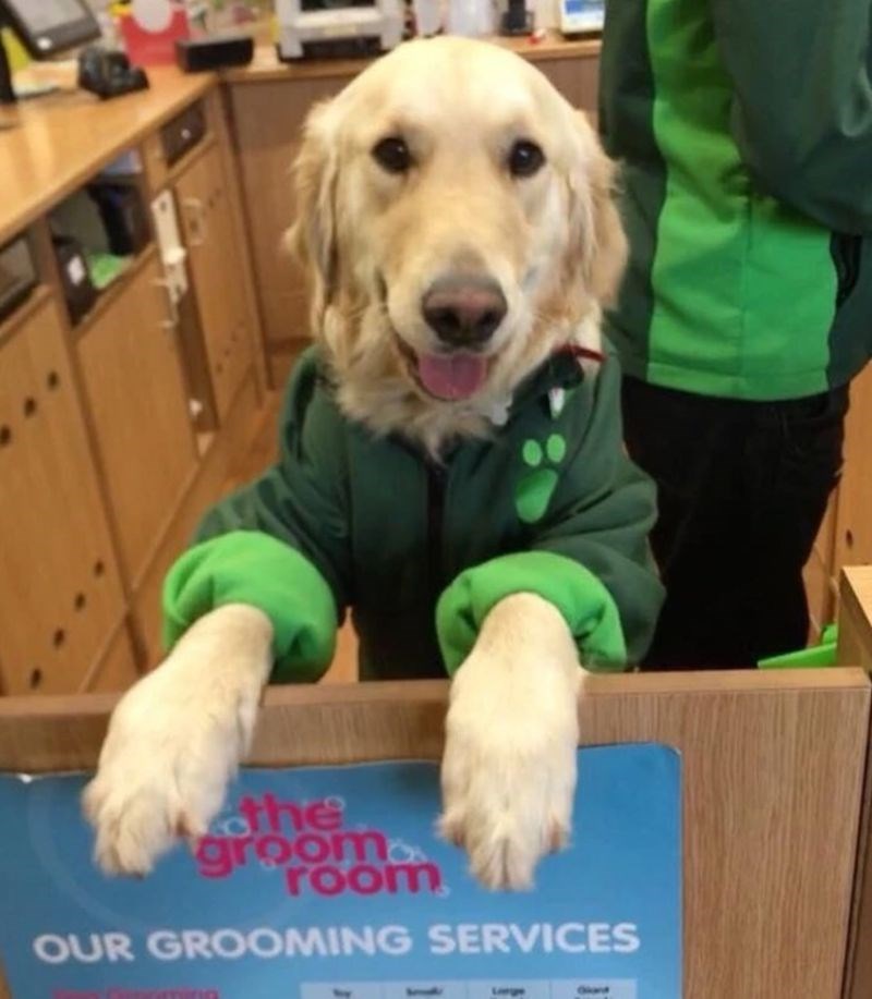 11. Zaposlenik godine! 😃