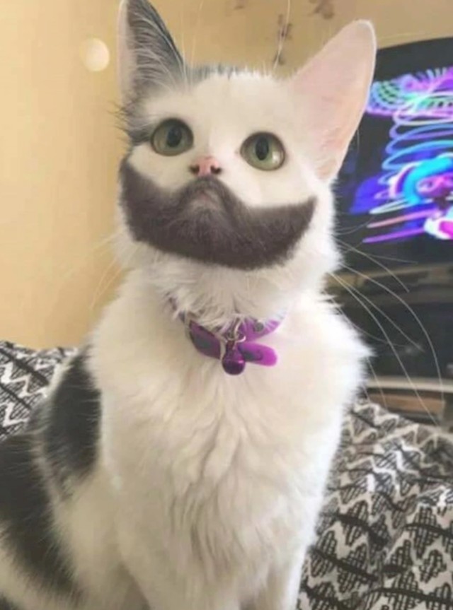 7.