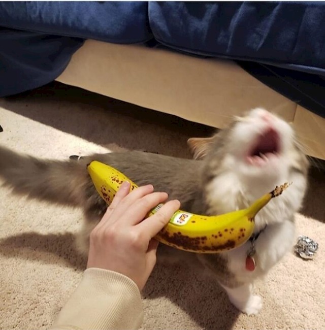 12.