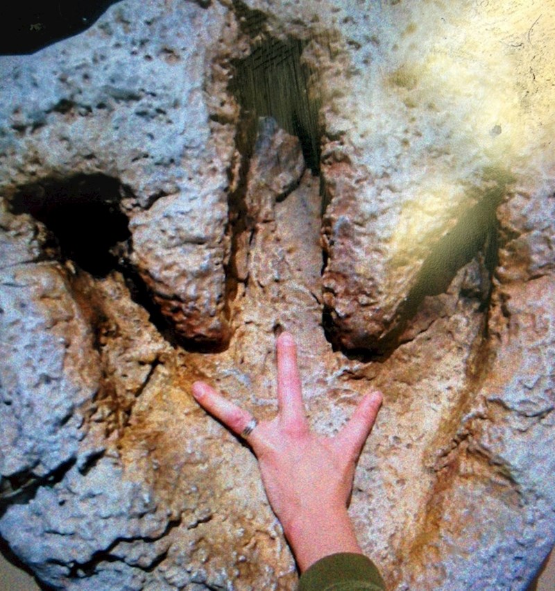 6. Žena se rodila sa samo tri prsta i u muzeju vidjela super priliku za našaliti se na svoj račun