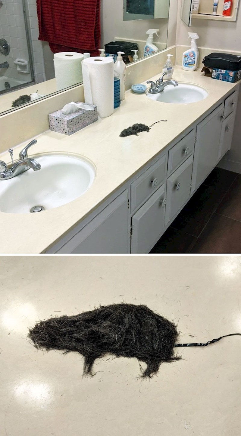 9. "Poslao mi je ovo sliku i prepao me! Napravio je miša od dlaka..."