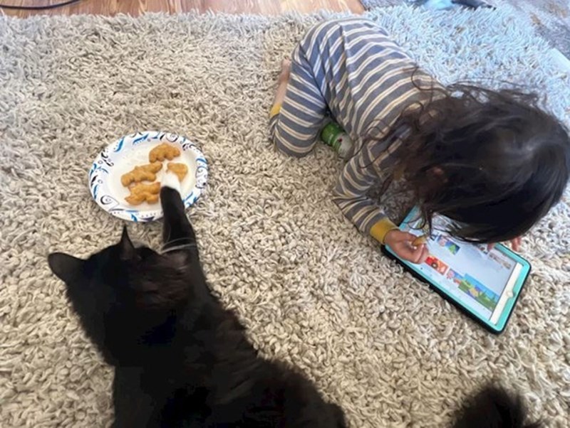 14. Malo ću ti ukrasti hrane, nećeš ni primijetiti da nedostaje jedan komad...