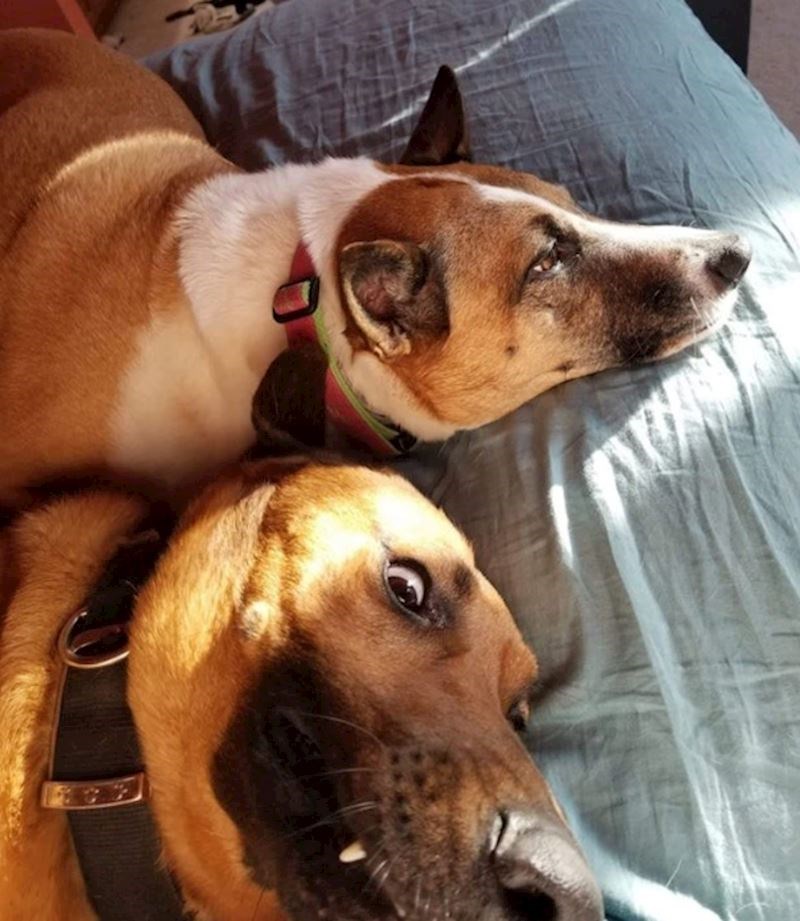 "Mislim da je jasno koji je od njih mlađi."