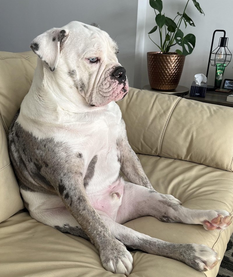 2. Izgubljen u mislima