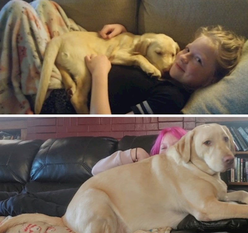 "Jednom mala maza, ali zauvijek maza"