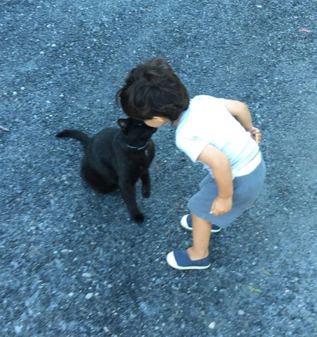 "To je ta ljubav"