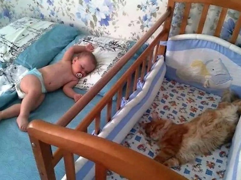 6. "Ušetala sam u spavaću sobu i pronašla ih da ovako spavaju. Nisam se mogla prestati smijati."