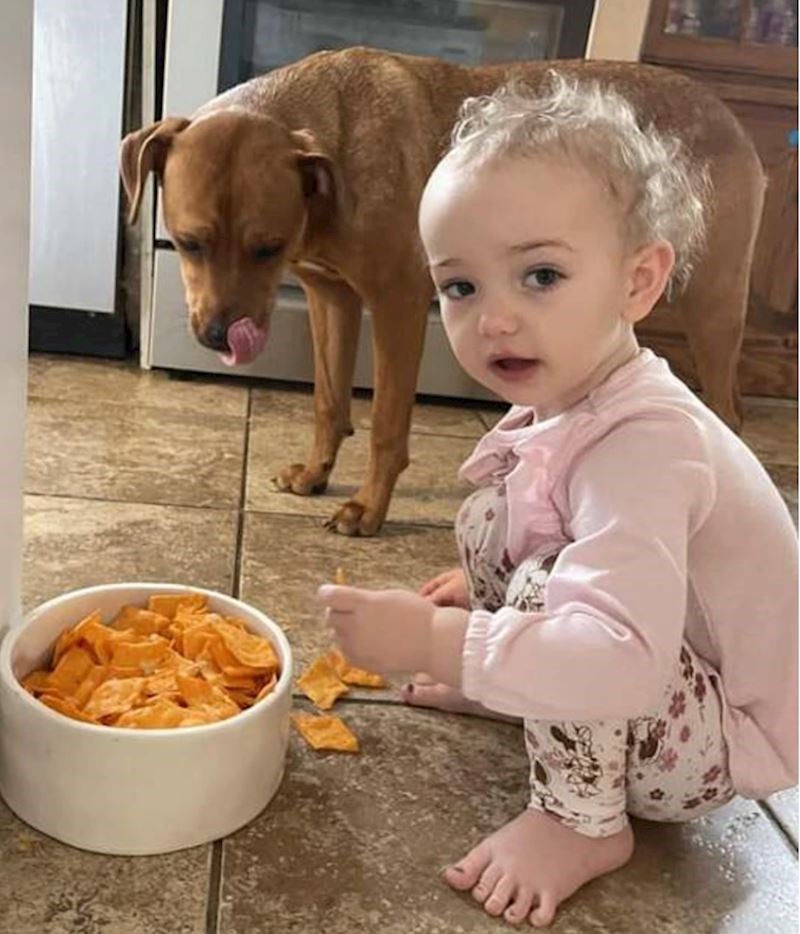 2. "Kad sam ju pitala što radi, rekla je da i pas zaslužuje jesti grickalice."