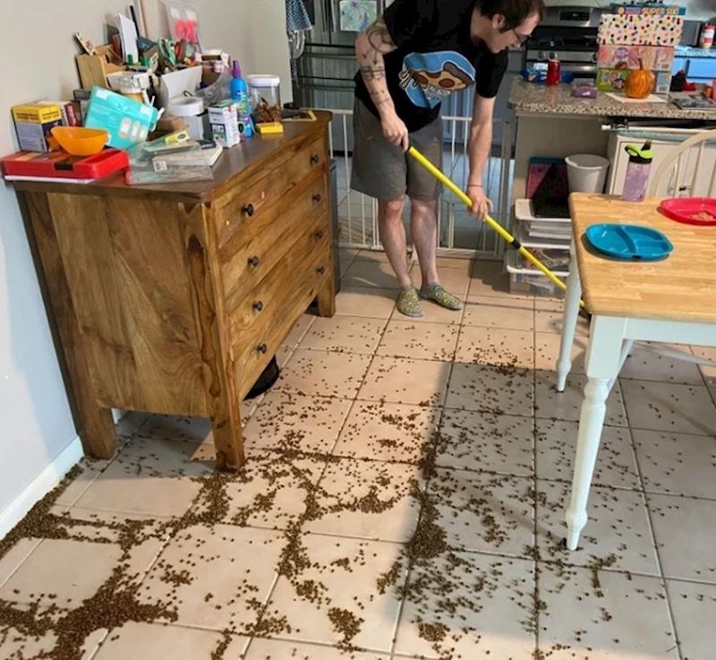 12. "Sami smo si krivi, rekli smo klincima da nahrane pse..."